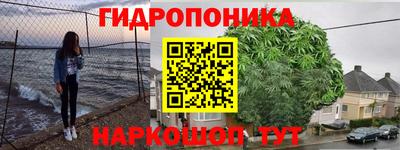 кокс Обь