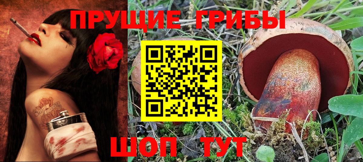 Псилоцибиновые грибы Psilocybine cubensis Озёры