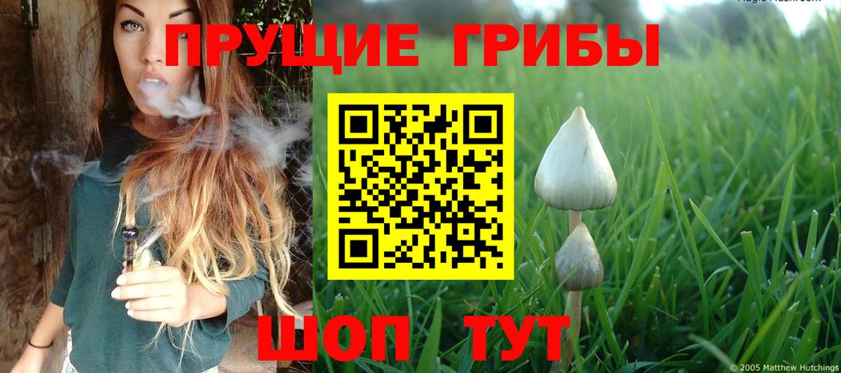Озёры  Галлюциногенные грибы Psilocybe  купить   Галлюциногенные грибы Cubensis  Вход с VPN 